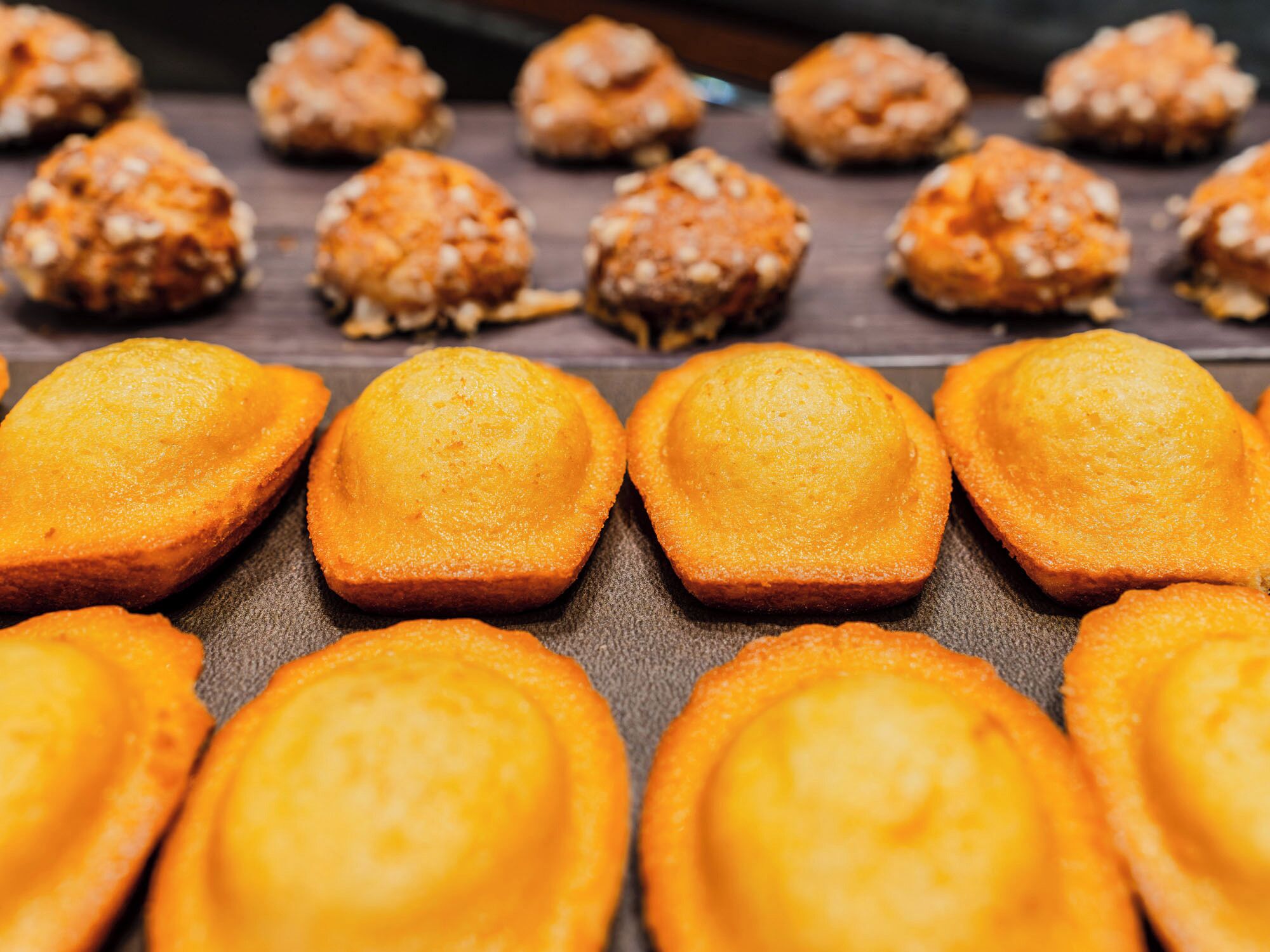 A tray of baked goods, likely muffins or pastries, arranged on a baking sheet.