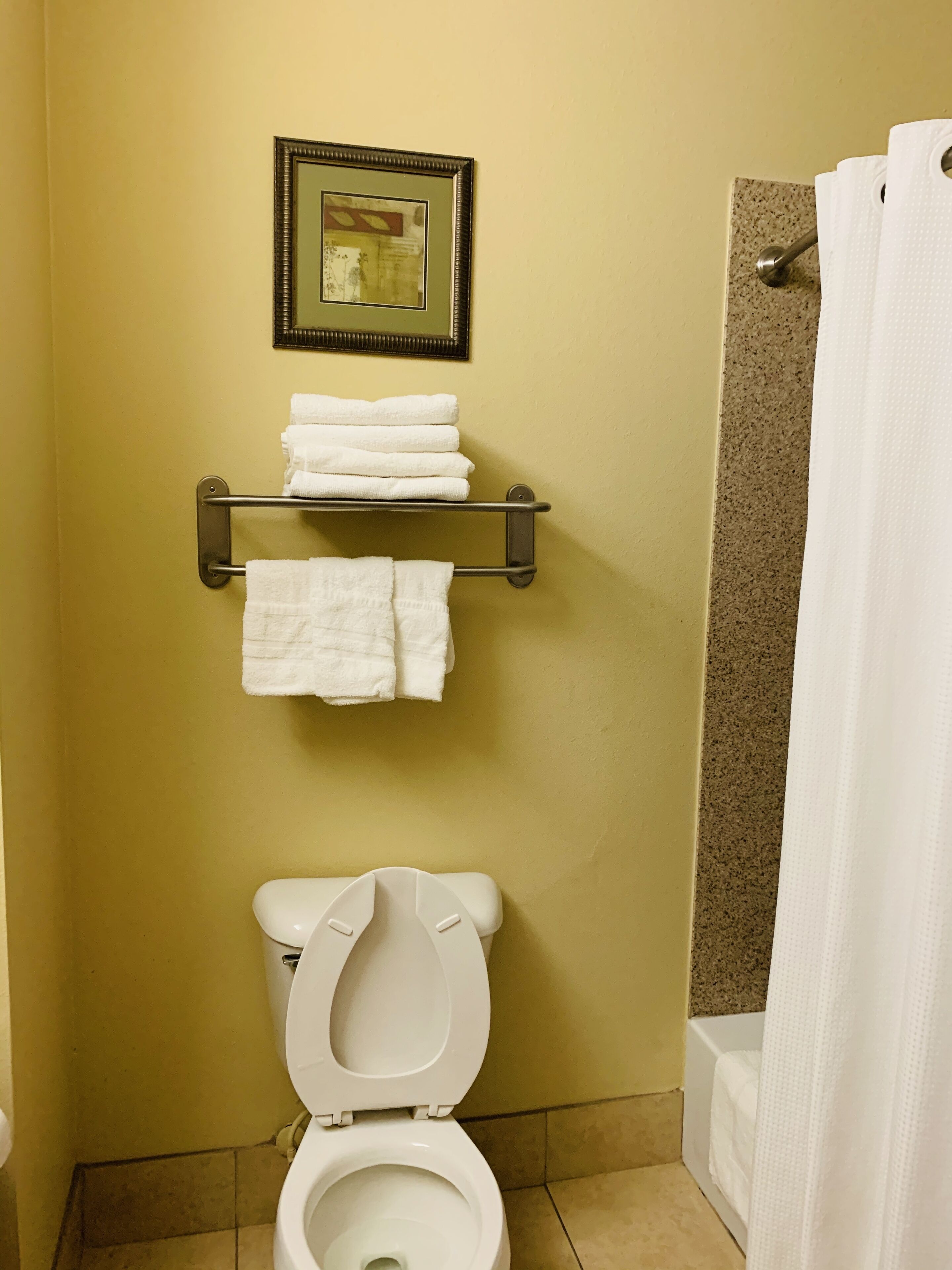 A bathroom with a toilet, a towel rack with folded towels, and a framed picture on the wall.