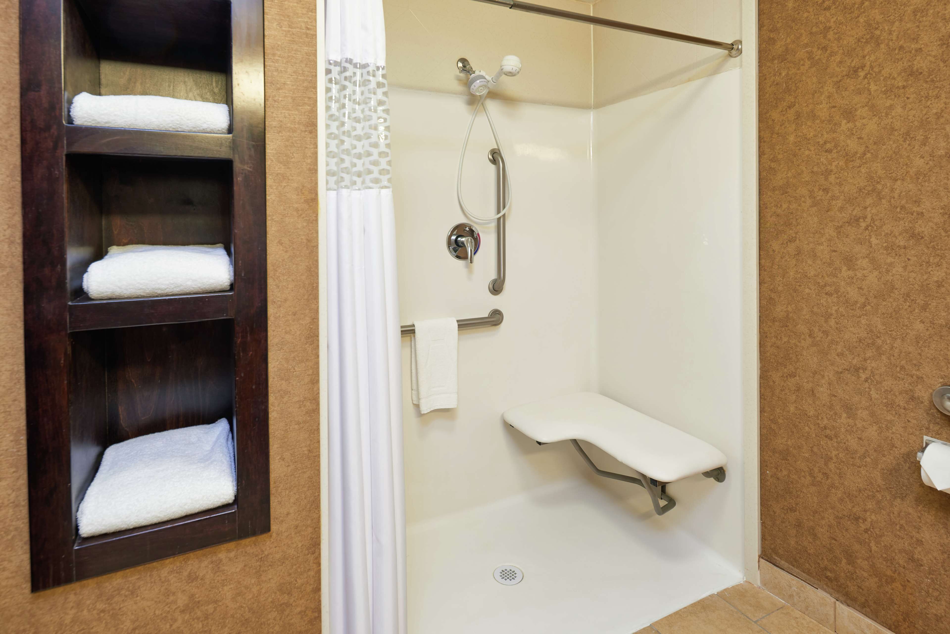 room, 1 king bed, accessible, non smoking | bathroom | shower, hair dryer, towels