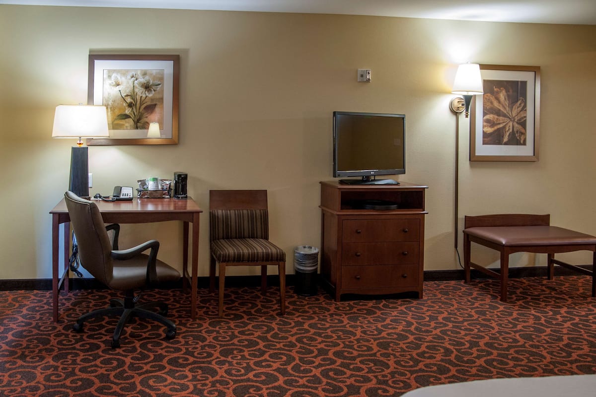 A hotel room with a desk, chair, television, lamp, and a patterned carpet.