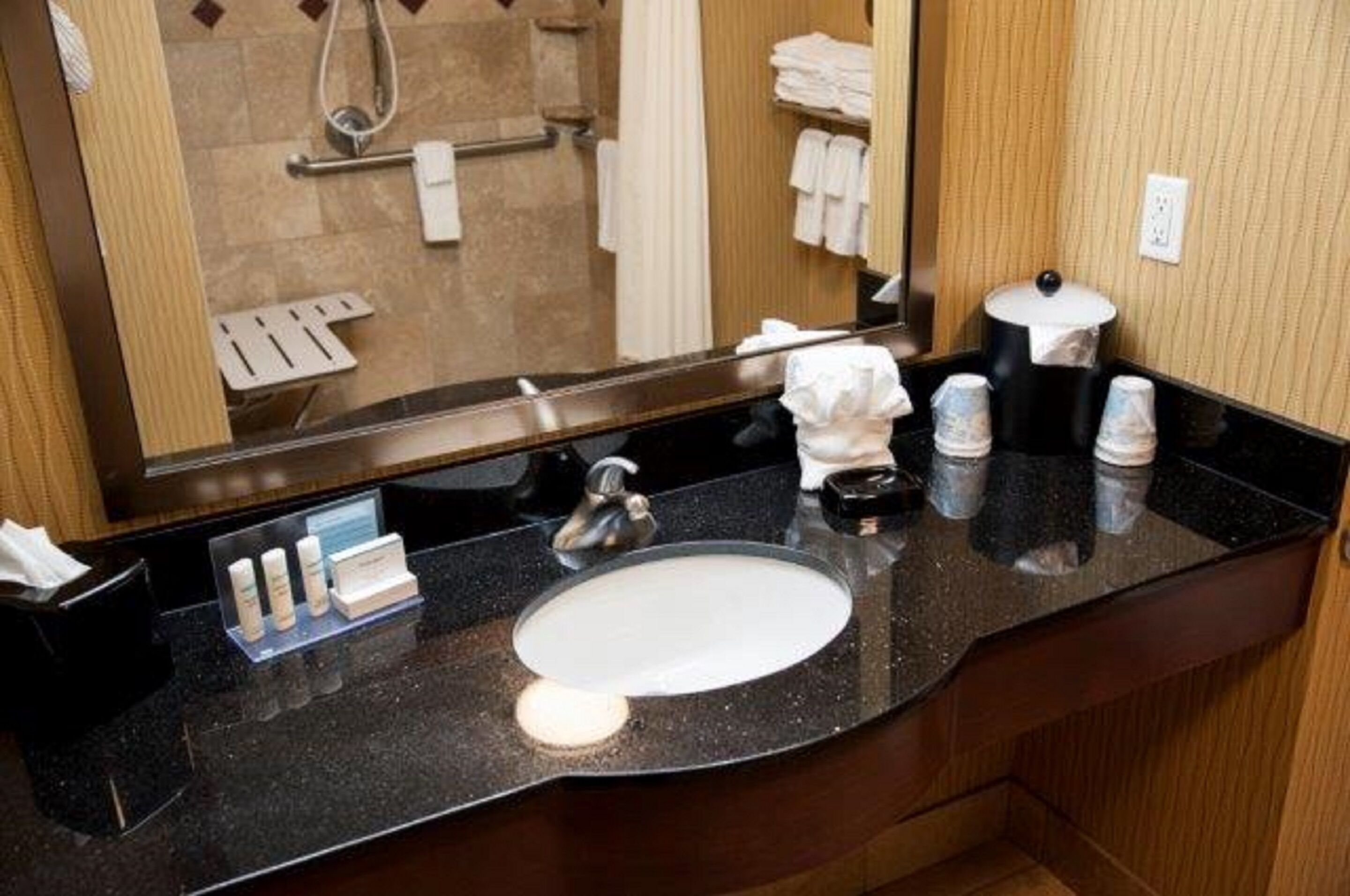 room, 1 king bed, accessible (mobility & hearing, roll-in shower) | bathroom | free toiletries, hair dryer, towels