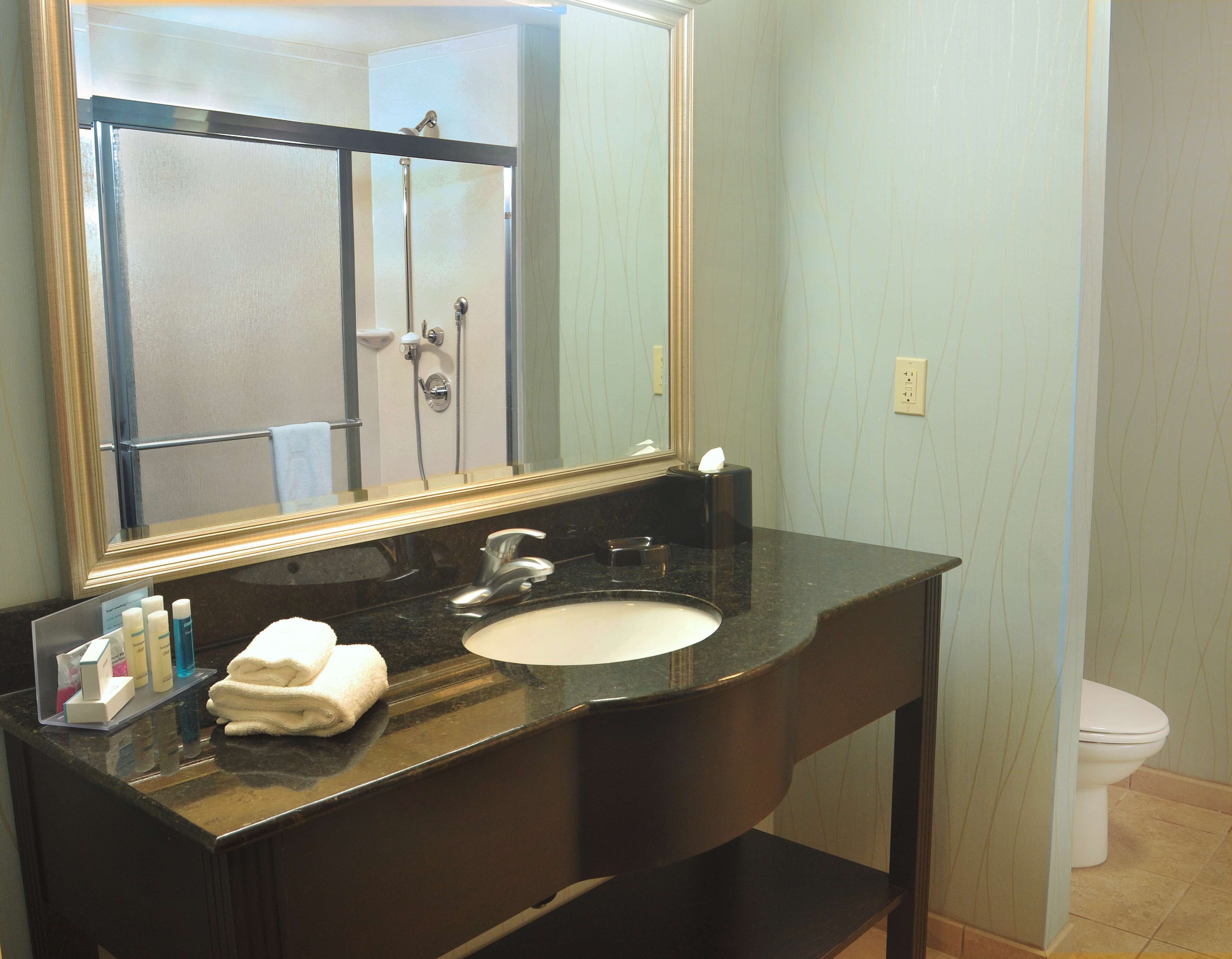 combined shower/bathtub, hydromassage showerhead, hair dryer, towels