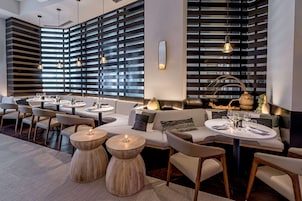 2 bares, bar en la azotea