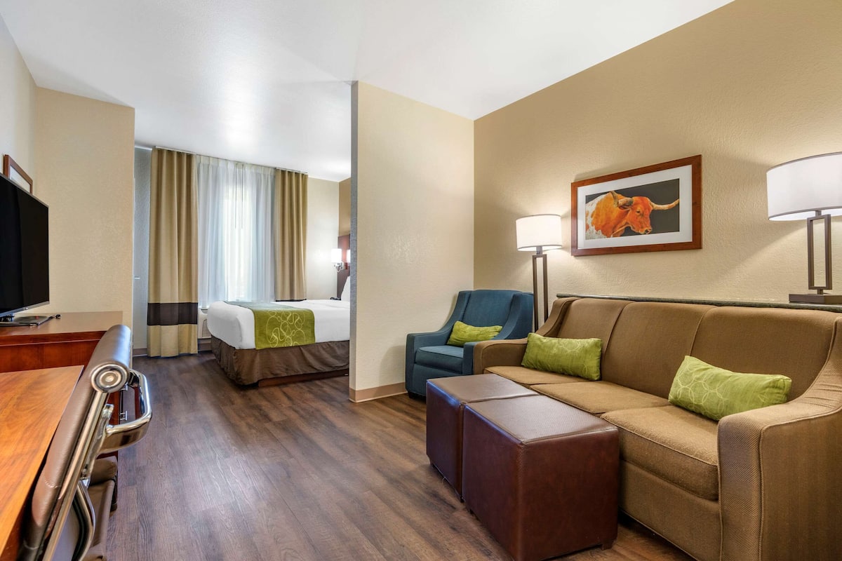 A hotel room with a bed, a sofa, a chair, a TV, and a lamp.