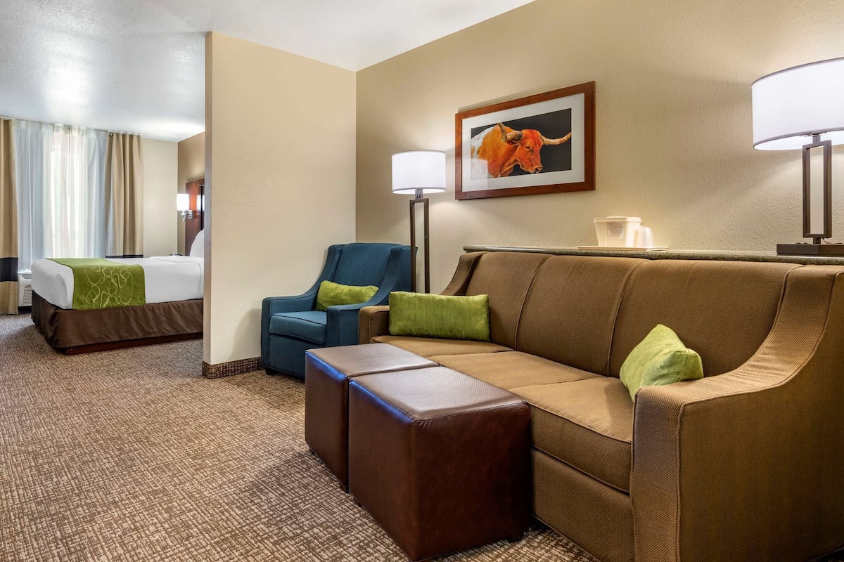A hotel room with a bed, a sofa, a chair, and a lamp.