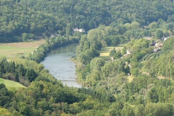 Un río serpentea a través de una zona boscosa densa con casas a orillas.