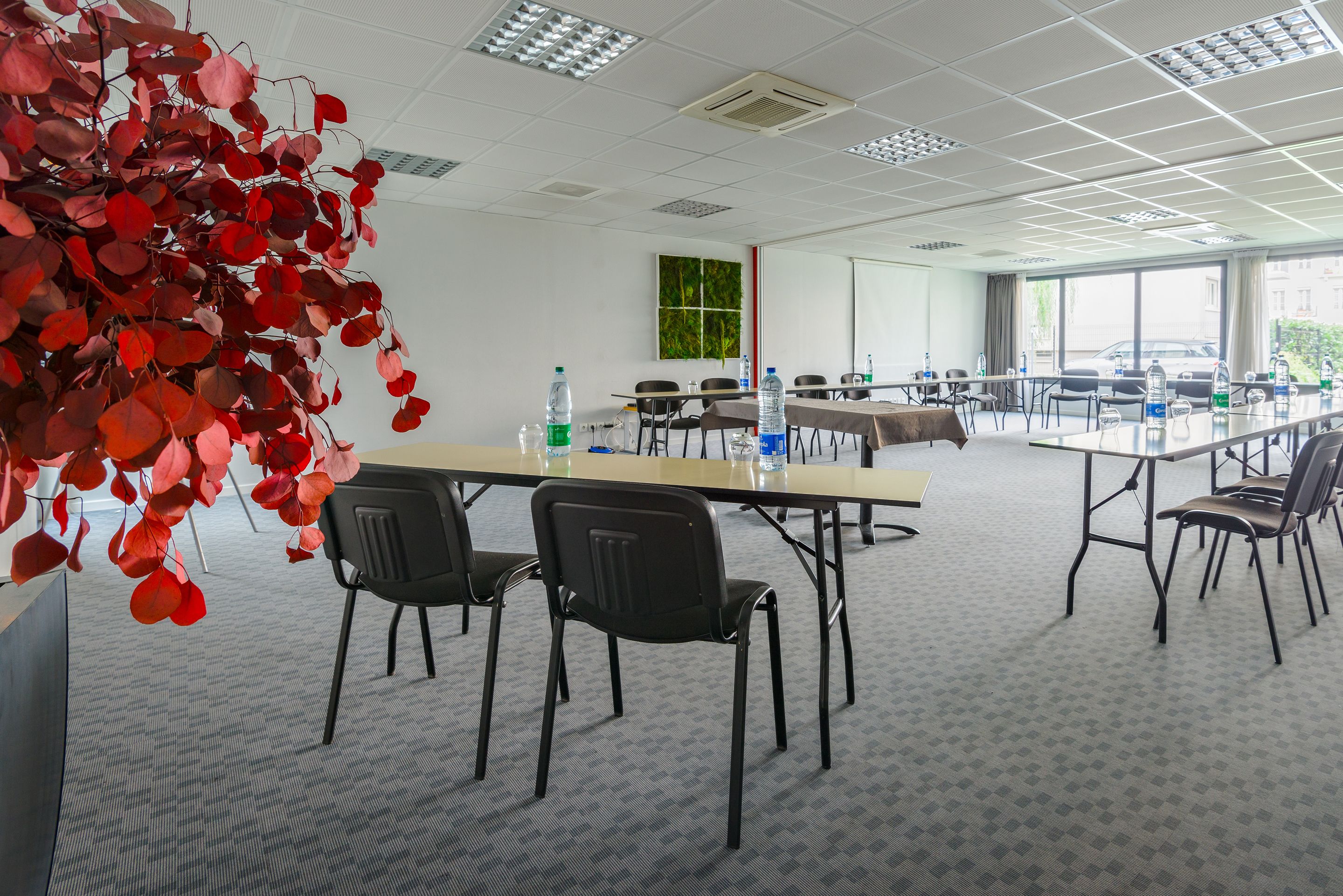 A conference room with a long table, black chairs, water bottles, and a decorative red plant.