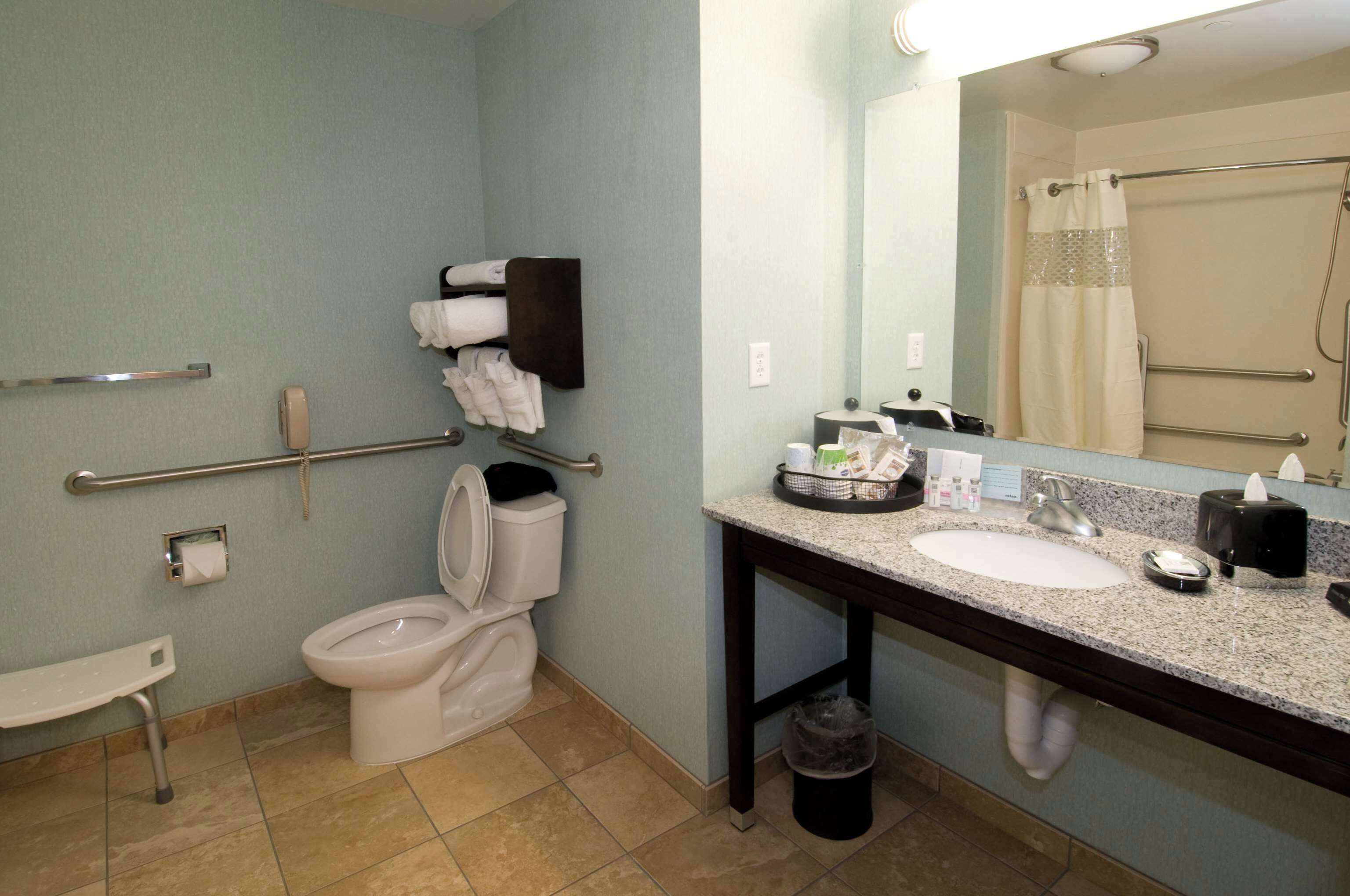 room, 1 king bed, accessible, non smoking | bathroom | combined shower/bathtub, free toiletries, hair dryer, towels