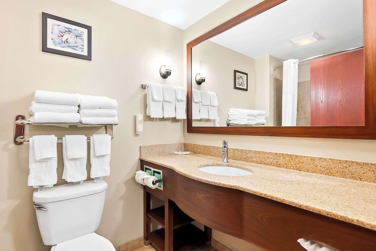 suite, multiple beds, accessible, non smoking | desk, blackout curtains, iron/ironing board, free cots/infant beds