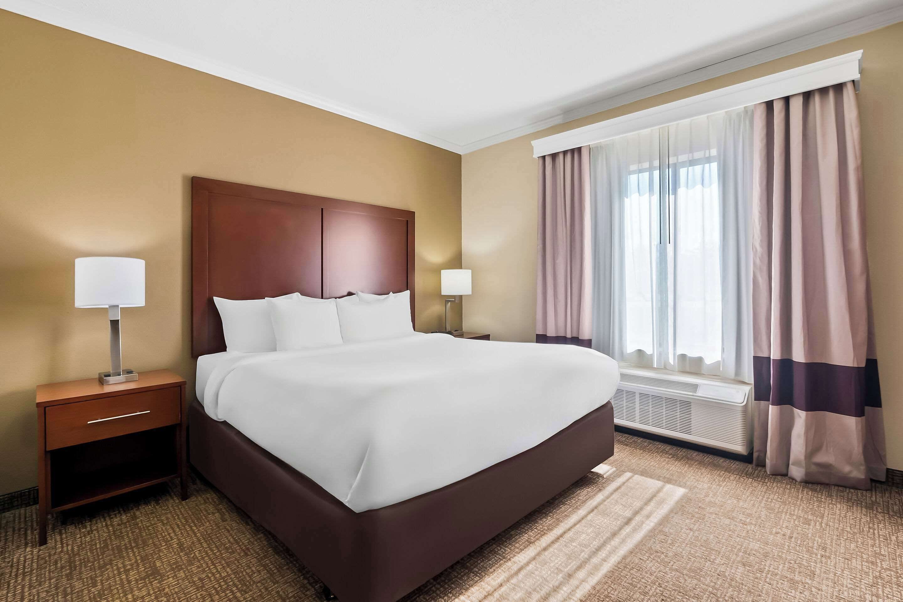 A hotel room with a large bed, two bedside tables with lamps, a window with curtains, and a carpeted floor.