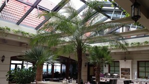 A restaurant with a high ceiling, large windows, and multiple palm trees. Tables and chairs are arranged for dining.