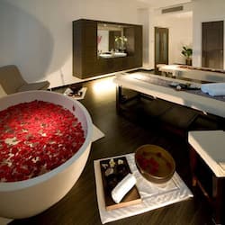 Sauna, hot tub, steam room, body treatments, hot stone massages, facials