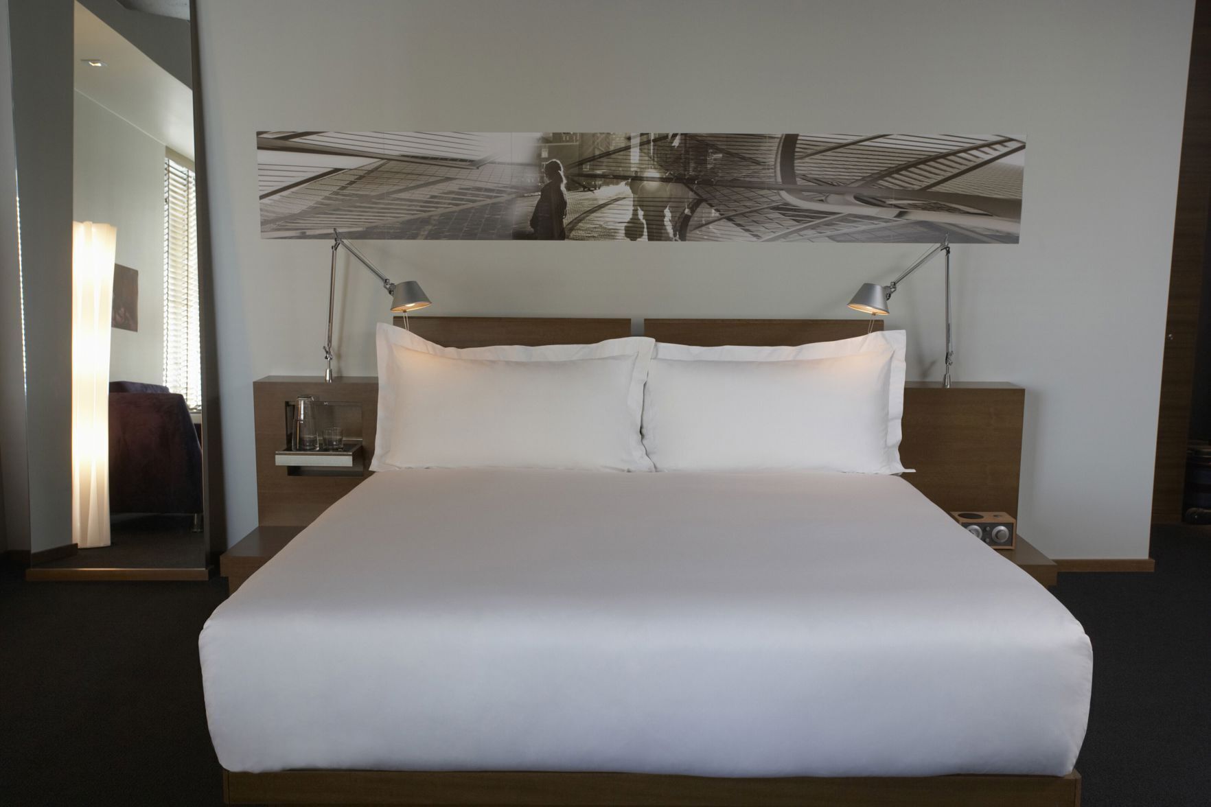 Egyptian cotton sheets, hypo-allergenic bedding, down comforters