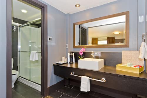 Shower, designer toiletries, hair dryer, bathrobes
