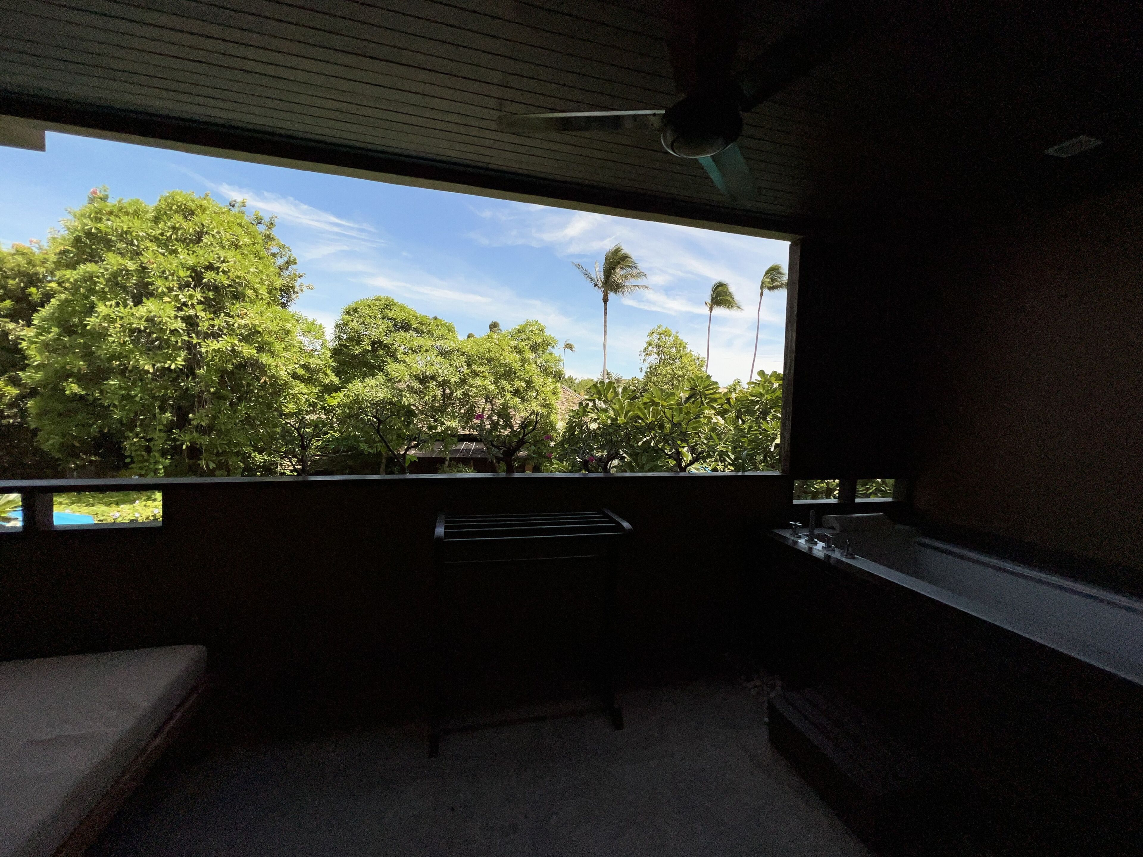 A room with a large window overlooking a lush garden and palm trees.