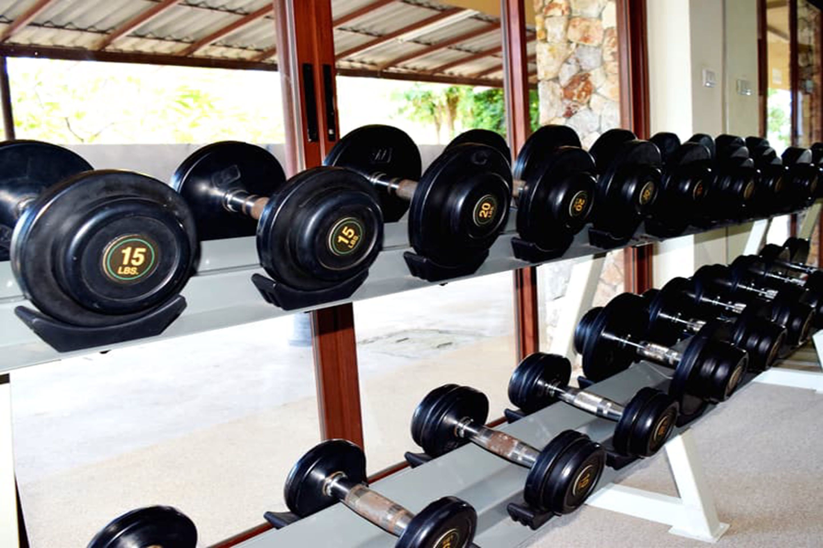 A rack of dumbbells with weights ranging from 15 to 20 pounds.