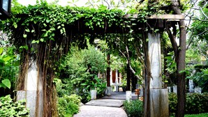 Un chemin de pierre traverse un jardin luxuriant, et une pergola en bois, recouverte de verdure, s’y trouve.