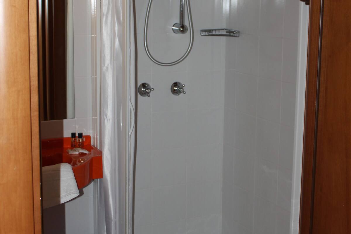 shower, free toiletries, hair dryer, towels