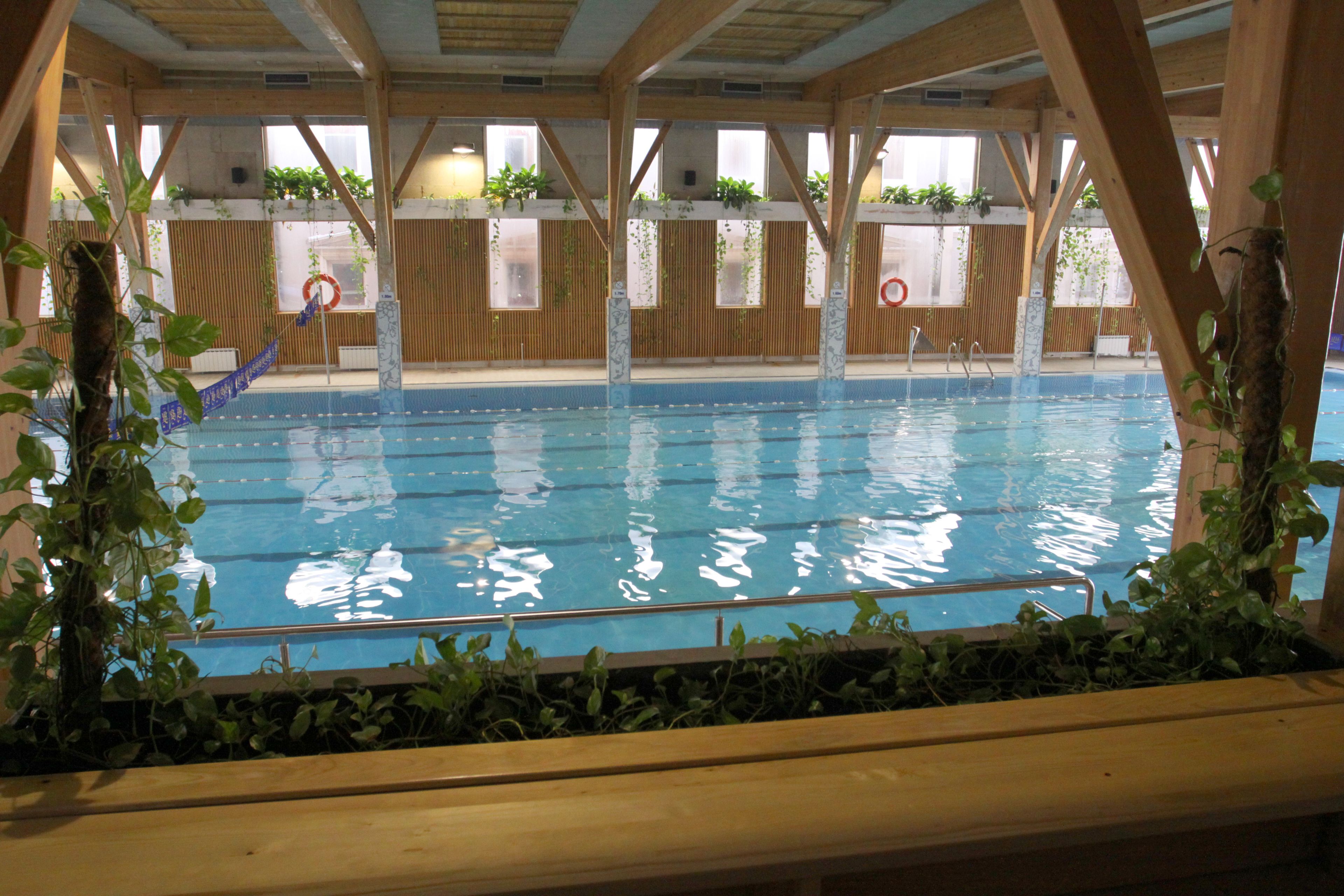 An indoor swimming pool with wooden beams, clear water, and potted plants.