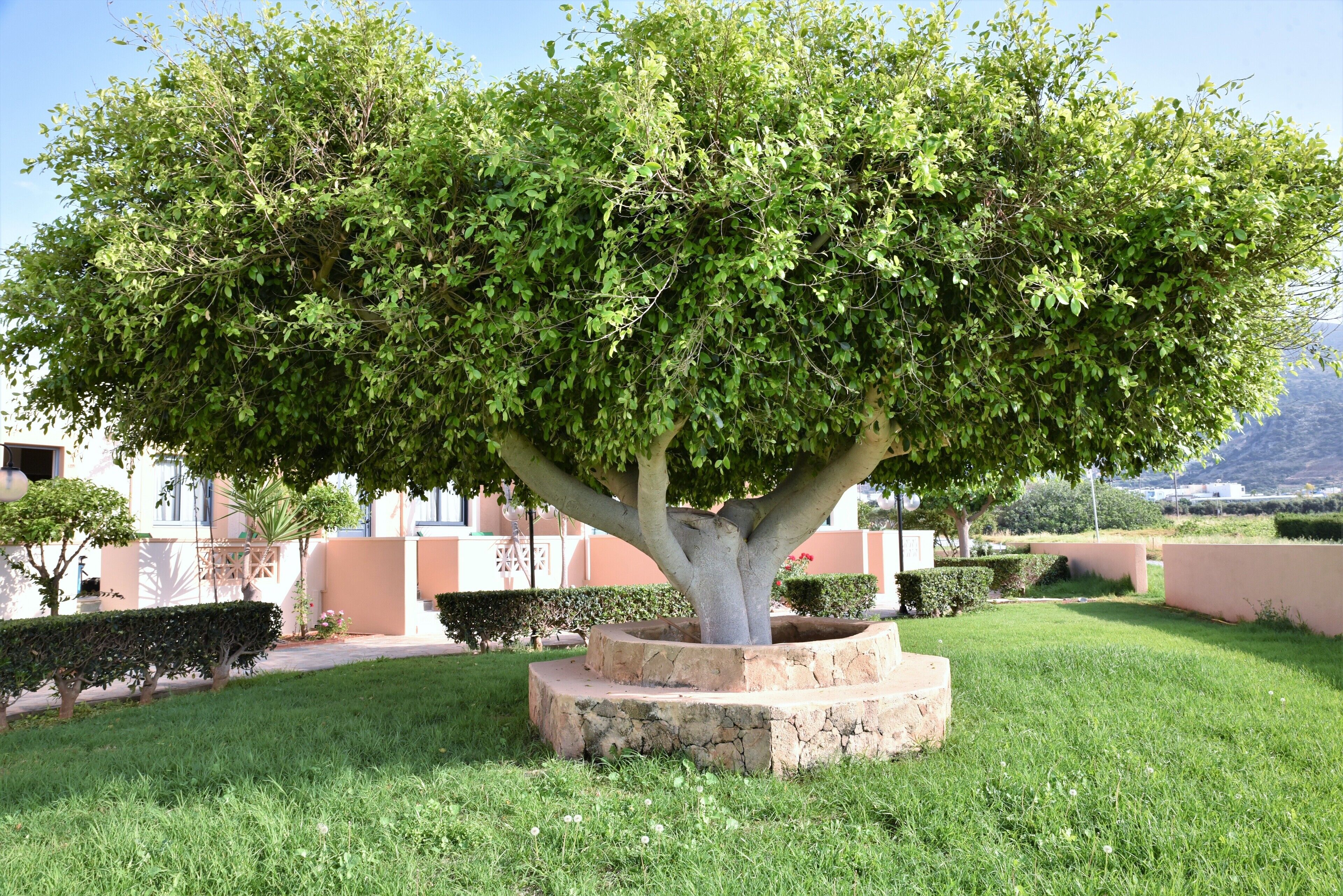 Photo - Golden Bay Hotel Apartments