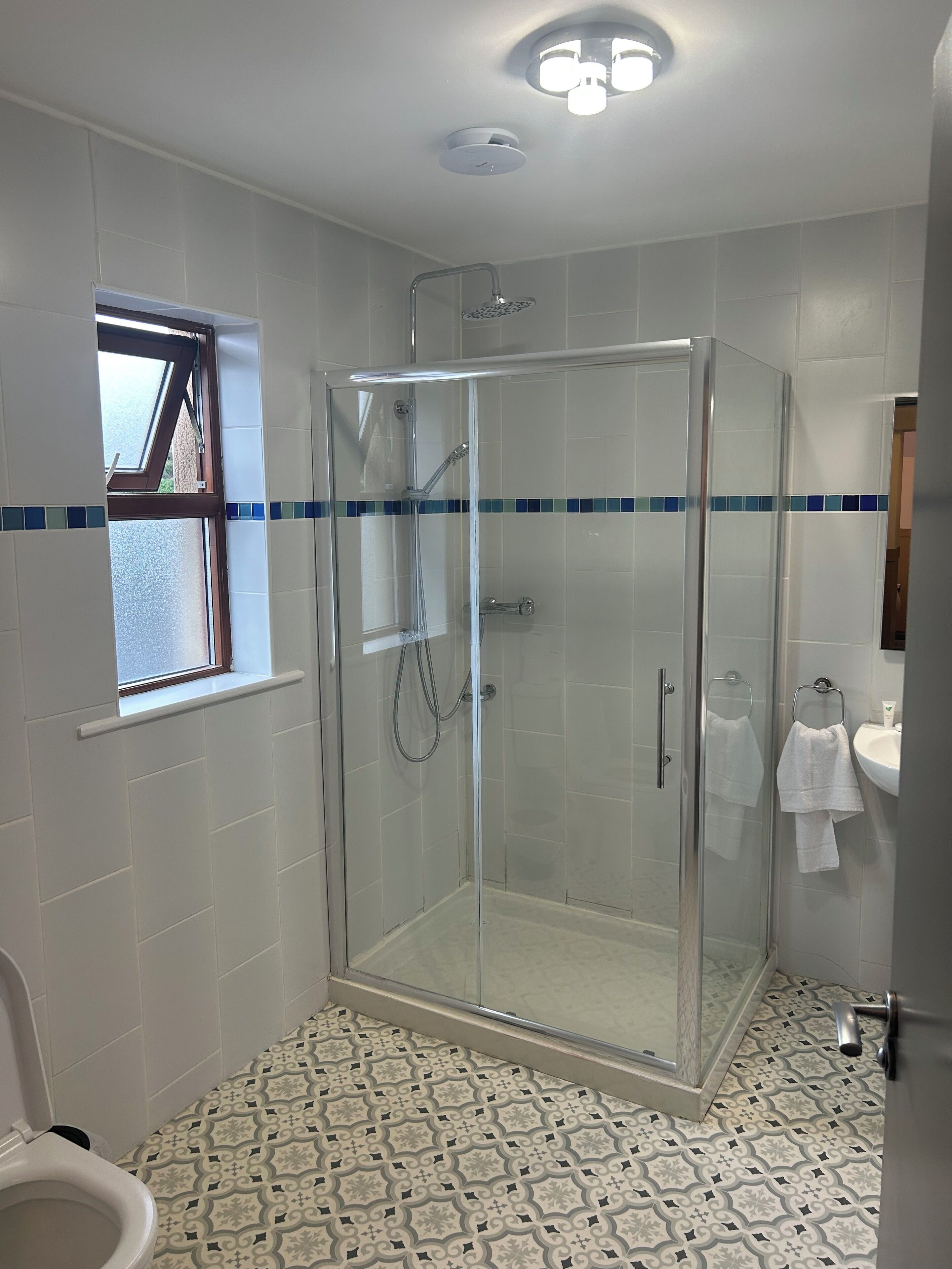 Shower, hair dryer, towels