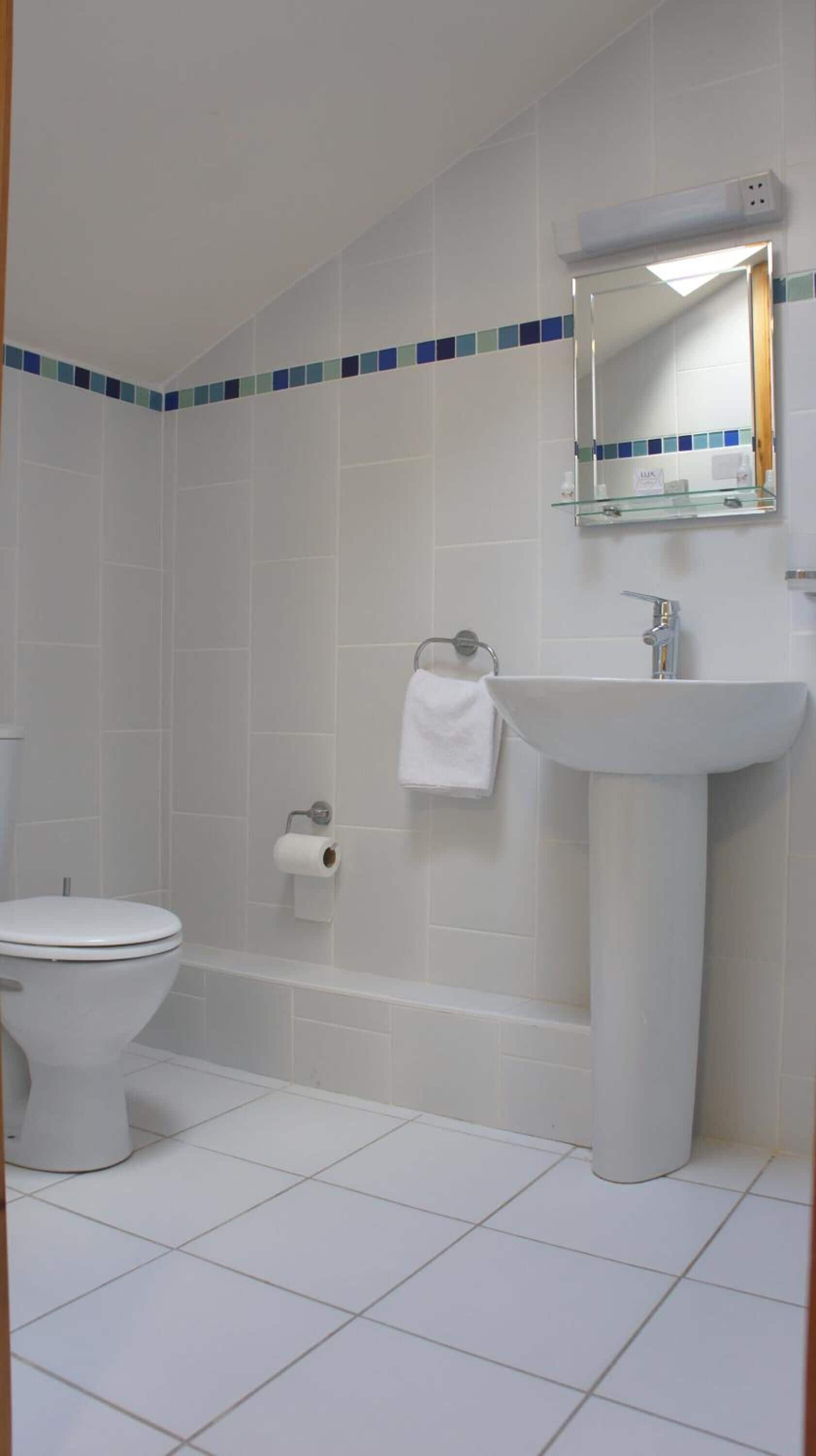 A bathroom with a toilet, a sink, and a shower area.