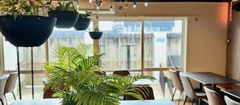 BKs Premier Motel Palmerston North