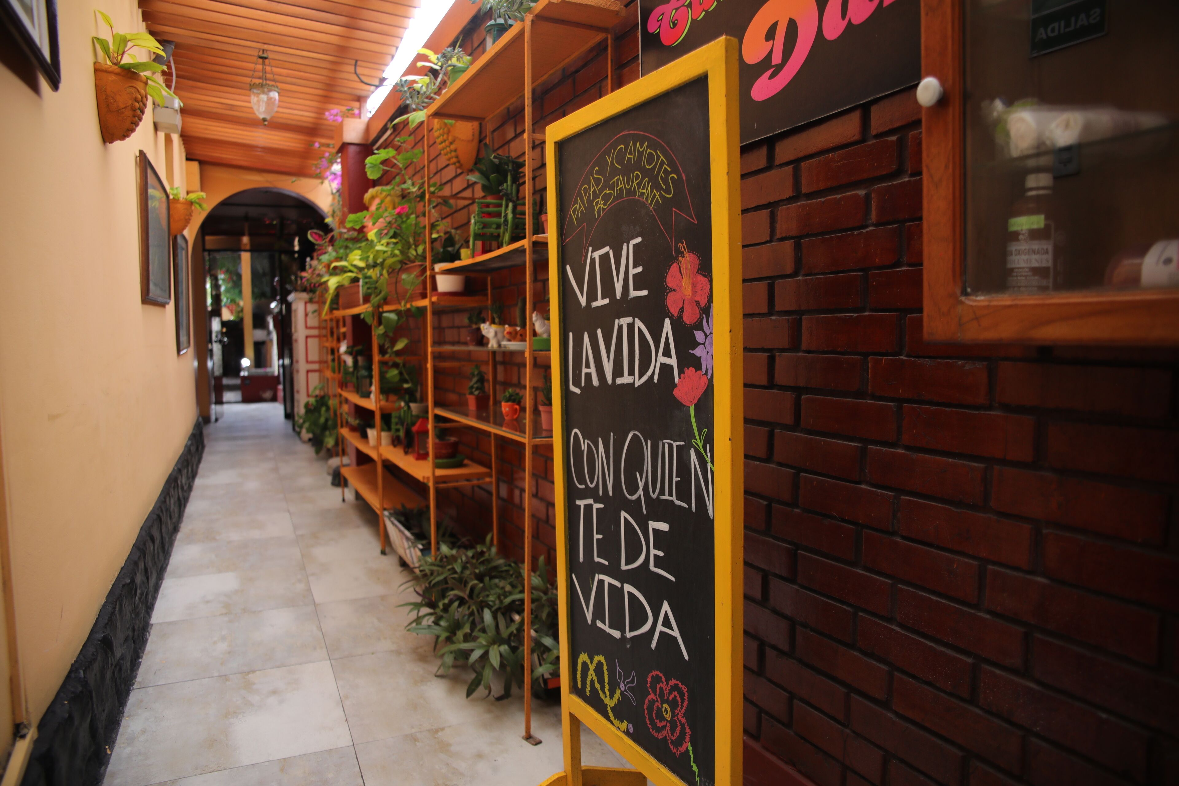 A hallway with a chalkboard sign reading "VIVE LAVIDA CON QUIEN TE DE VIDA" and a brick wall with shelves of plants.