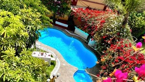 Una piscina rodeada de exuberante follaje y flores coloridas.