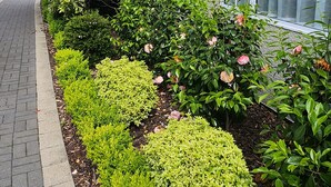 Un jardín ajardinado con setos bien cuidados y plantas en flor junto a un edificio con un ventanal grande.