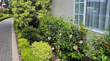 花園
