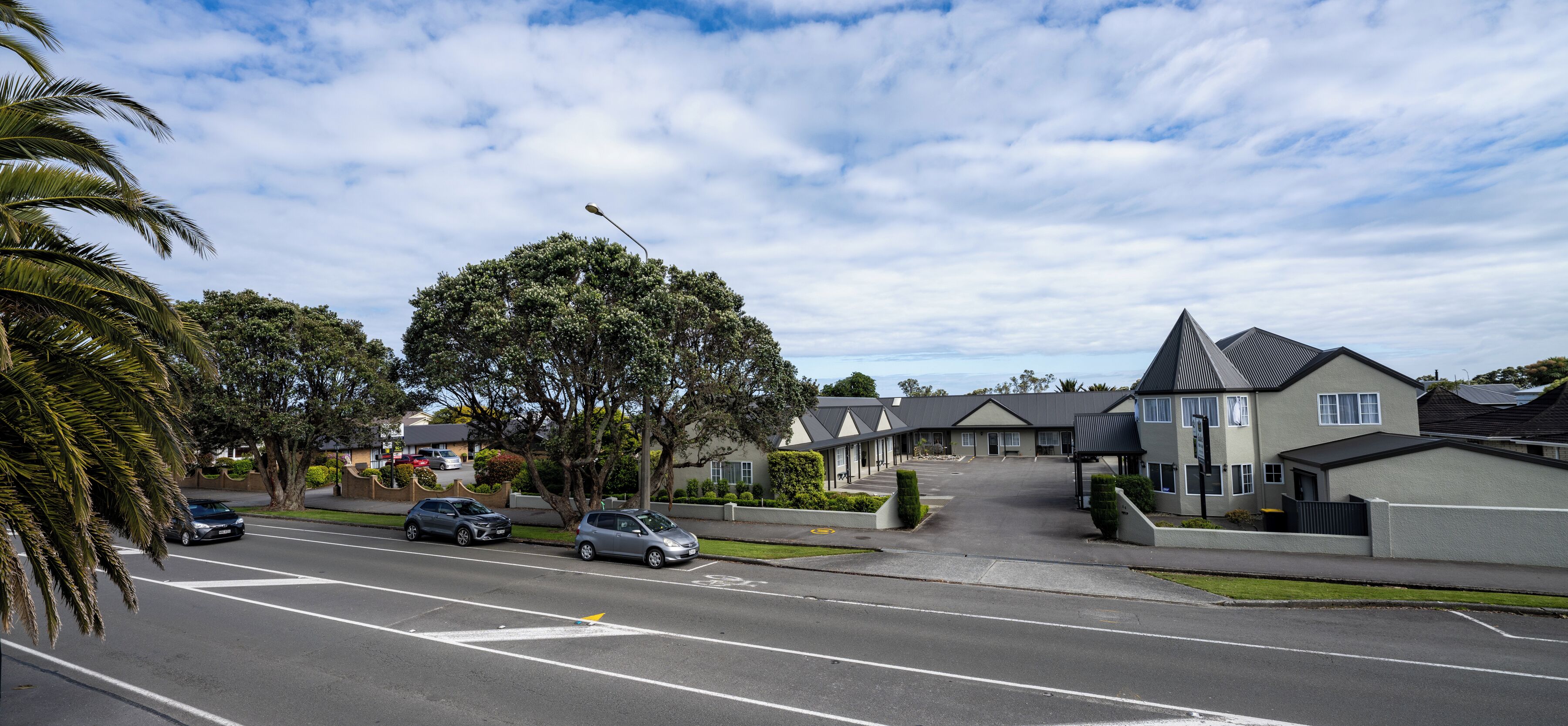Una calle residencial con casas, coches y un gran árbol.