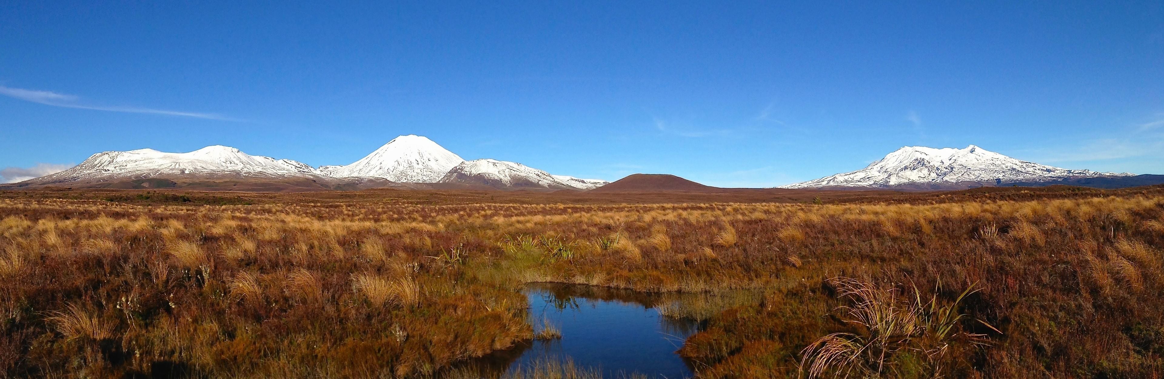 A landscape with a body of water, dry grass, and snow-capped mountains under a clear sky.