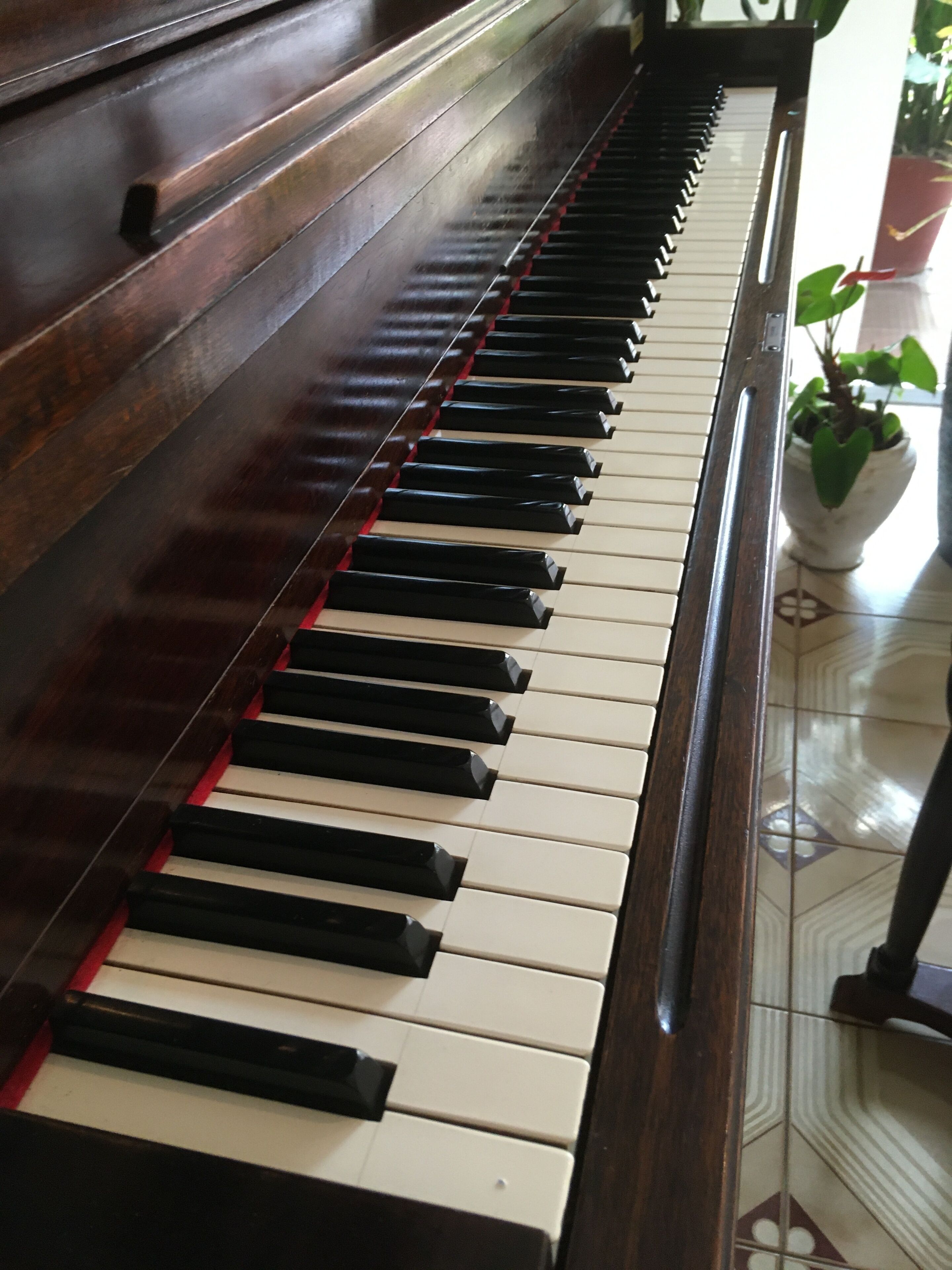 Photo - Hotel Alhambra