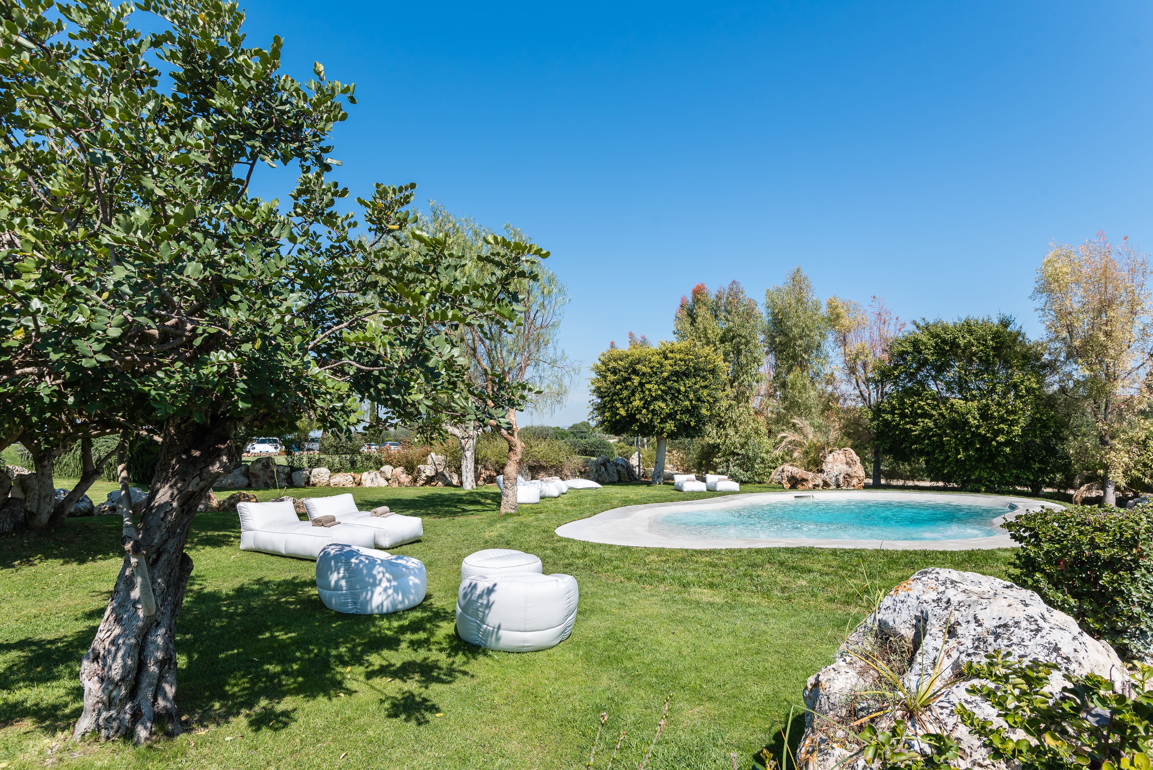 Un jardín cuidado con piscina, mobiliario exterior y diversas especies de árboles.