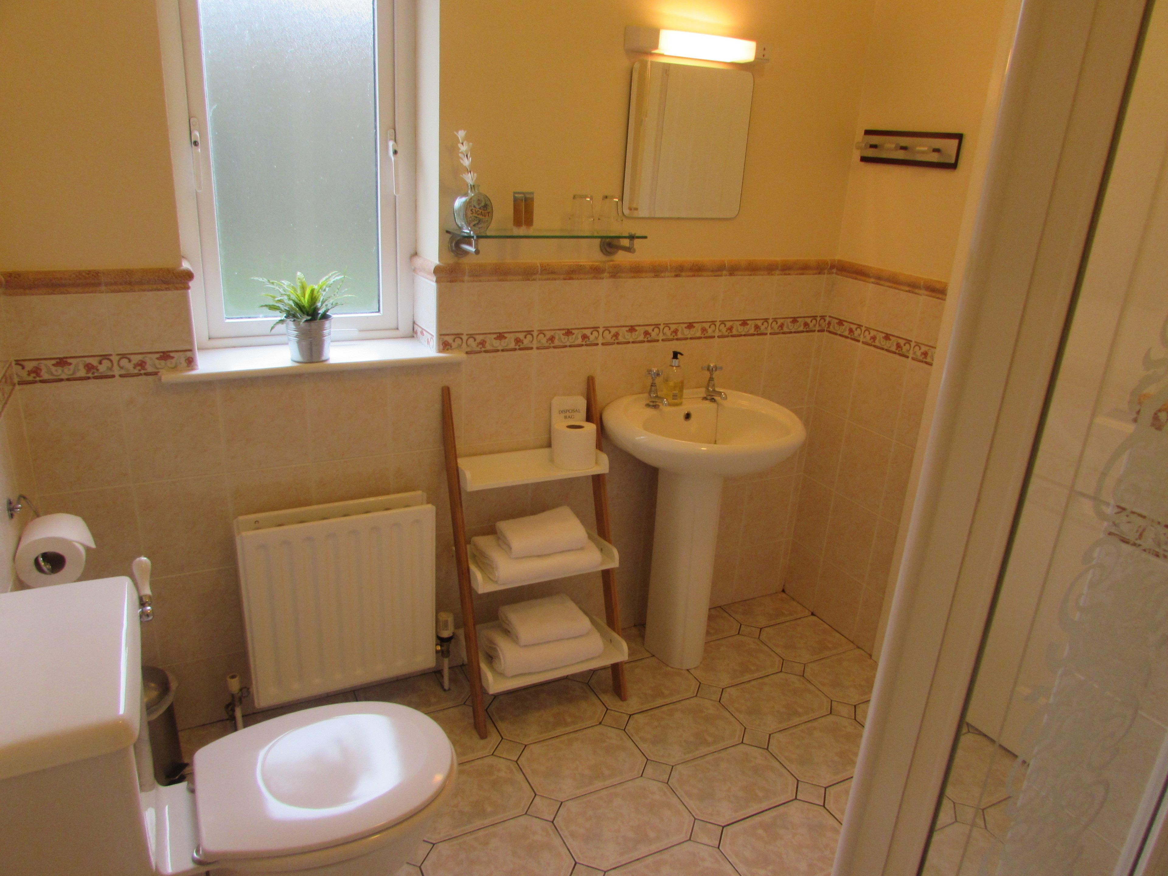 A bathroom with a toilet, sink, and a window with a plant.