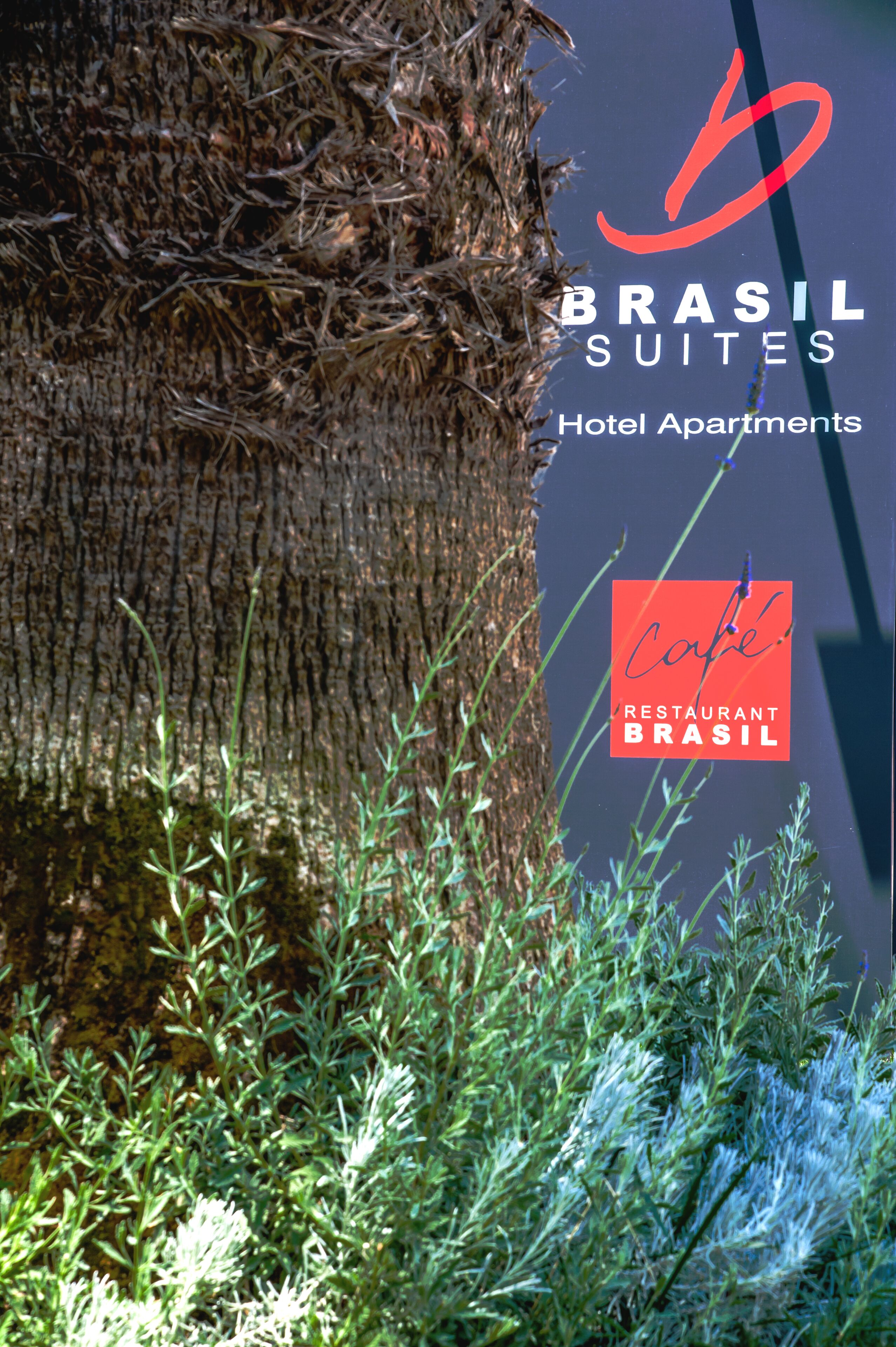 Foto - Brasil Suites Boutique Hotel