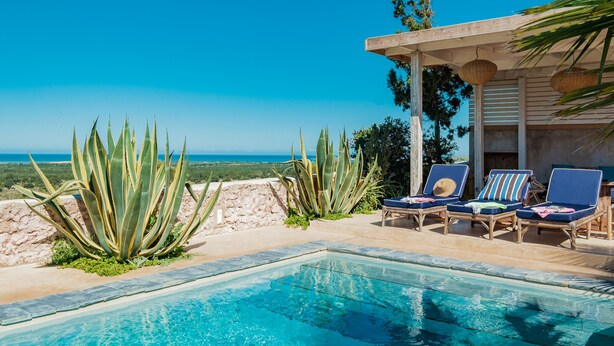 Un área junto a la piscina con vista despejada al océano, sillas de descanso y grandes plantas de agave.