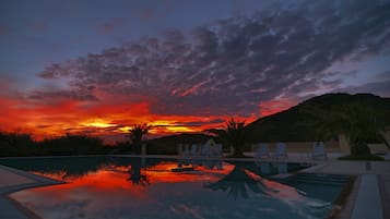 Seasonal outdoor pool, open 4 PM to 8 PM, pool umbrellas, pool loungers