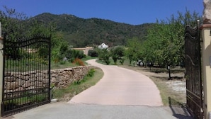 Un camino pavimentado que conduce a una entrada cerrada con un muro de piedra y vegetación a ambos lados.