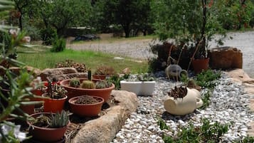 Jardin
