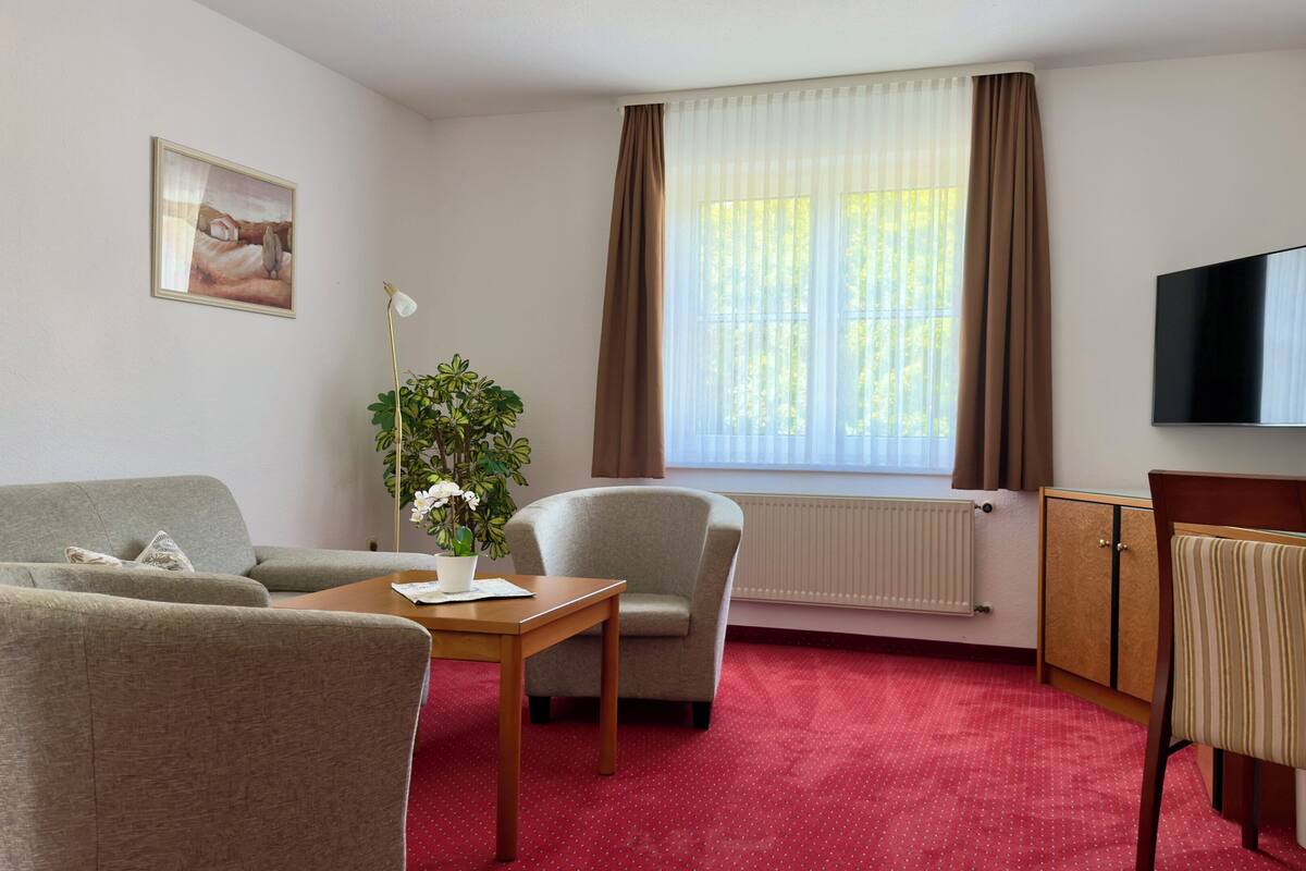 Habitación de hotel con sofá, sillón, mesa pequeña, planta en maceta, radiador, ventana con cortinas y televisor.
