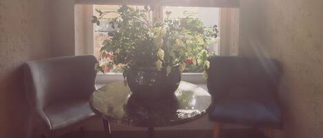 A room with a wooden floor, a table with a potted plant, two chairs, and a window with blinds.