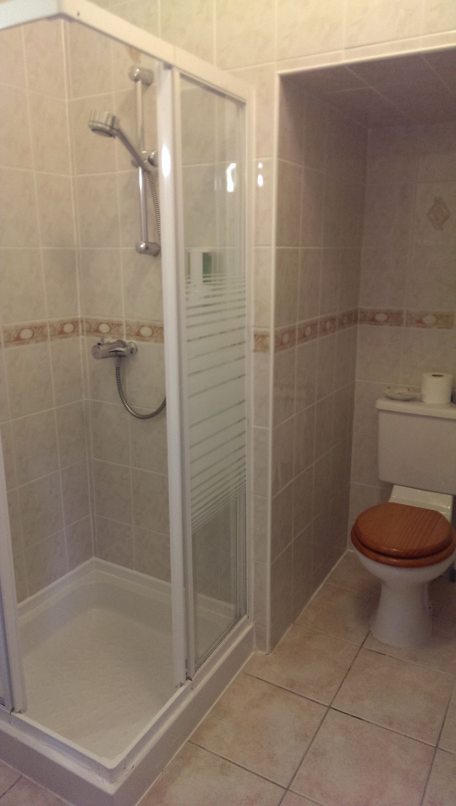 A bathroom with a glass-enclosed shower, a toilet, and tiled walls.
