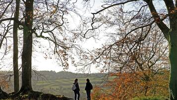 Two people standing on a grassy hill with trees in the background.