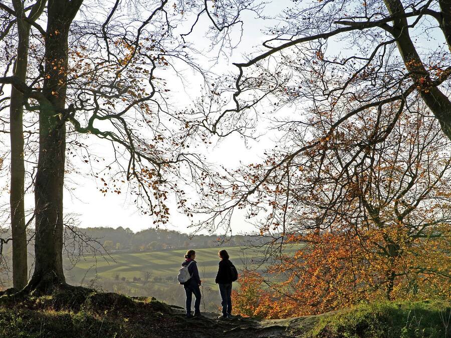 Two people standing on a grassy hill with trees in the background.