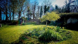 Un jardín con césped, un banco y diversas plantas y flores.