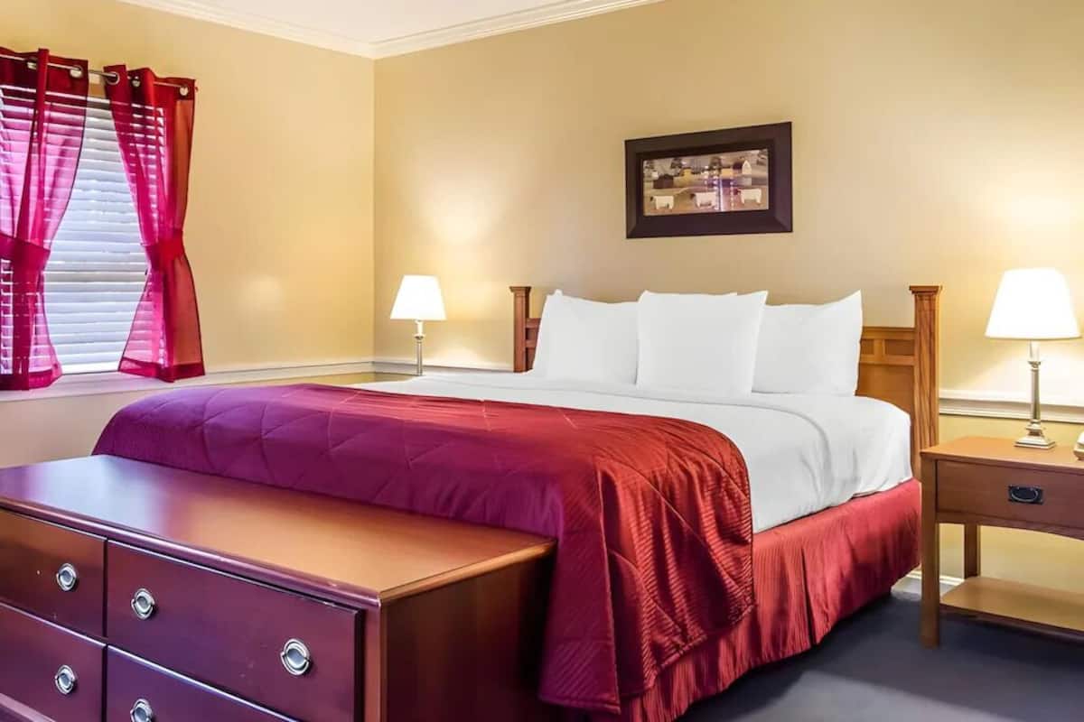Premium bedding, pillow-top beds, in-room safe, desk