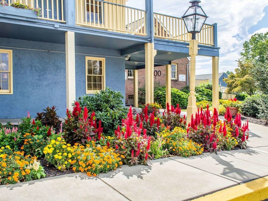 A two-story building with a blue facade and yellow trim, a covered porch with a black street lamp, and a variety of colorful flowers in the front garden.