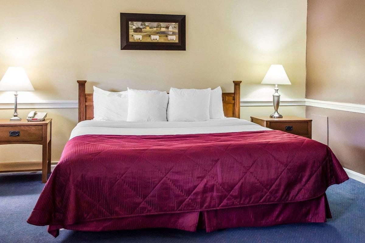 Standard Room, 1 King Bed, Non Smoking | Premium bedding, pillowtop beds, in-room safe, desk